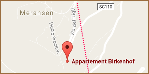 Wie Sie uns erreichen - Appartement Birkenhof in Südtirol
